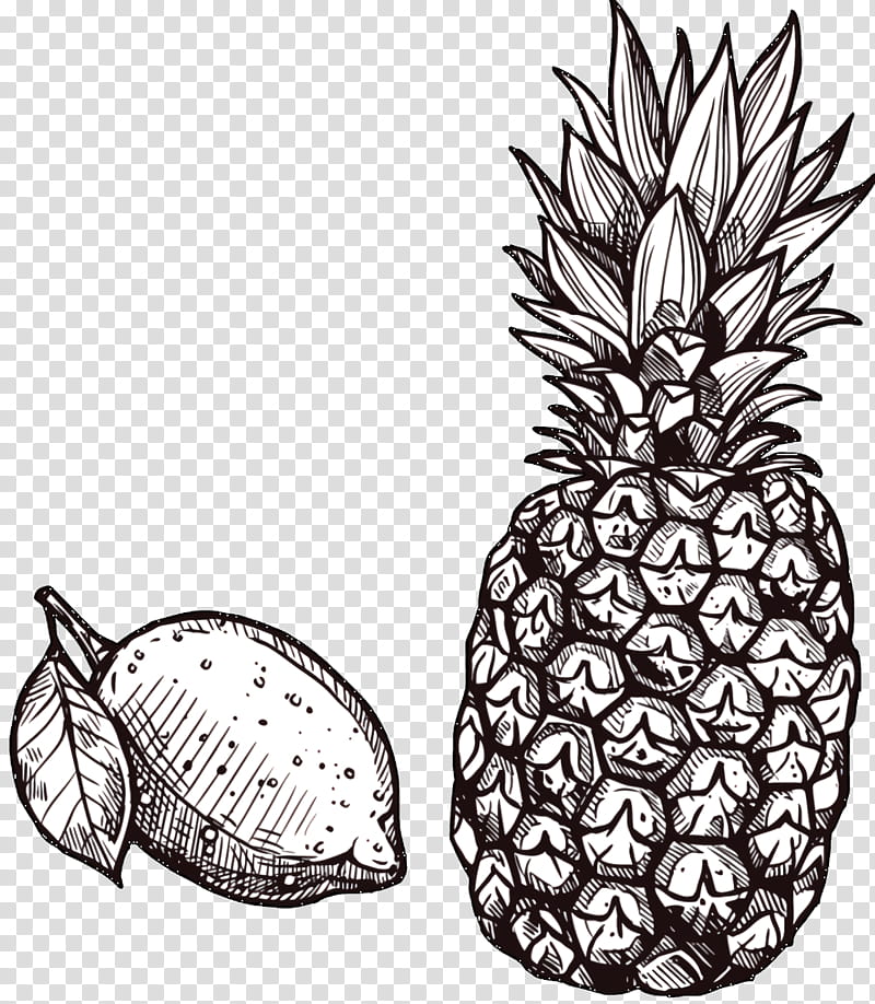 Fruit Tree, Pineapple, Line Art, Drawing, Commodity, Animal, Ananas, Plant transparent background PNG clipart