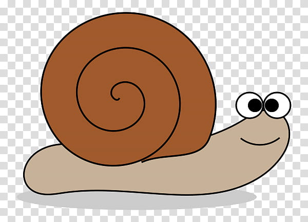 Snail, Lymnaea Stagnalis, Gastropods, Slug, Snail Racing, Animal, Snails And Slugs transparent background PNG clipart