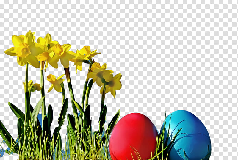 Easter egg, Easter
, Yellow, Grass, Tulip, Flower, Spring
, Plant transparent background PNG clipart