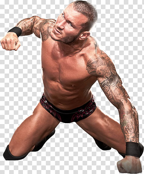 Randy Orton y Chris Jericho Alma Editions transparent background PNG clipart