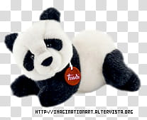 Peluches set, panda plush toy transparent background PNG clipart