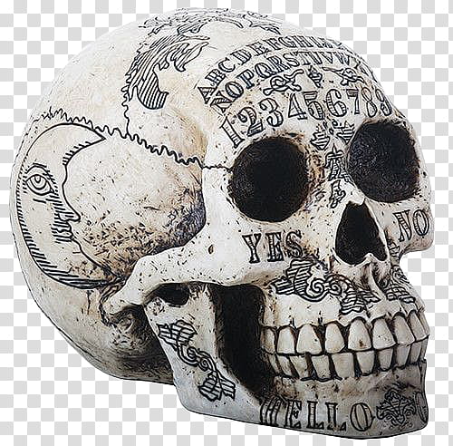 Dark Temper, skull transparent background PNG clipart