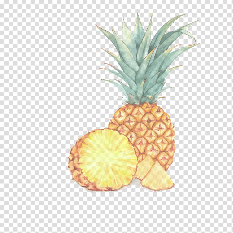 Pineapple, Ananas, Fruit, Plant, Yellow, Food, Poales transparent background PNG clipart