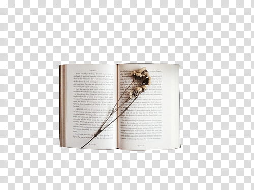 , opened book page transparent background PNG clipart