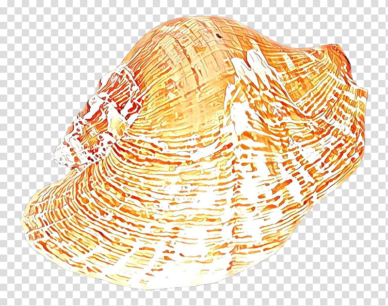 Cockle Cockle, Seashell, Clam, Conch, Conchology, Bivalve, Shankha transparent background PNG clipart