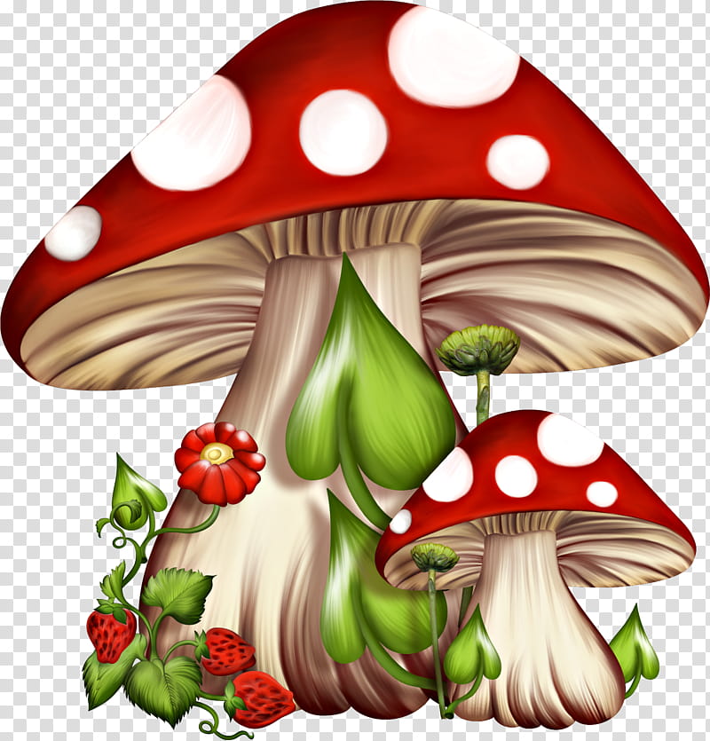 Mushroom, Alices Adventures In Wonderland, Fungus, Fly Agaric, Common Mushroom, Drawing, Fairy, Food transparent background PNG clipart