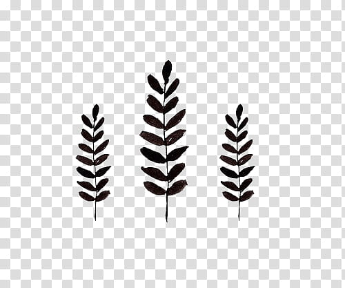 s, three black leaves transparent background PNG clipart