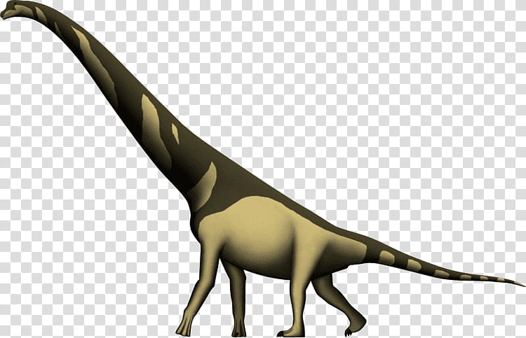 Giraffe, Cedarosaurus, Giraffatitan, Brachiosaurus, Apatosaurus, Dinosaur, Barremian, Amphicoelias transparent background PNG clipart