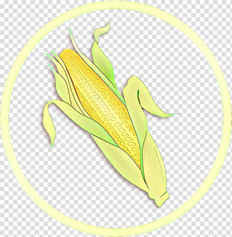 corn on the cob yellow plant leaf vegetarian food, Sweet Corn, Nepenthes, Flower transparent background PNG clipart