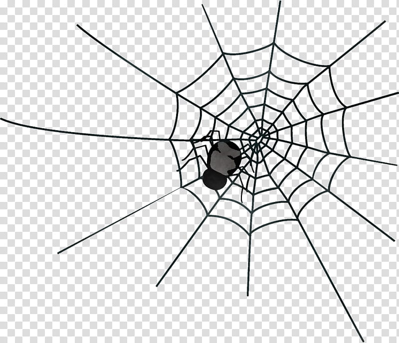 spider web halloween, Halloween , White, Line, Symmetry, Blackandwhite, Arachnid, Circle transparent background PNG clipart
