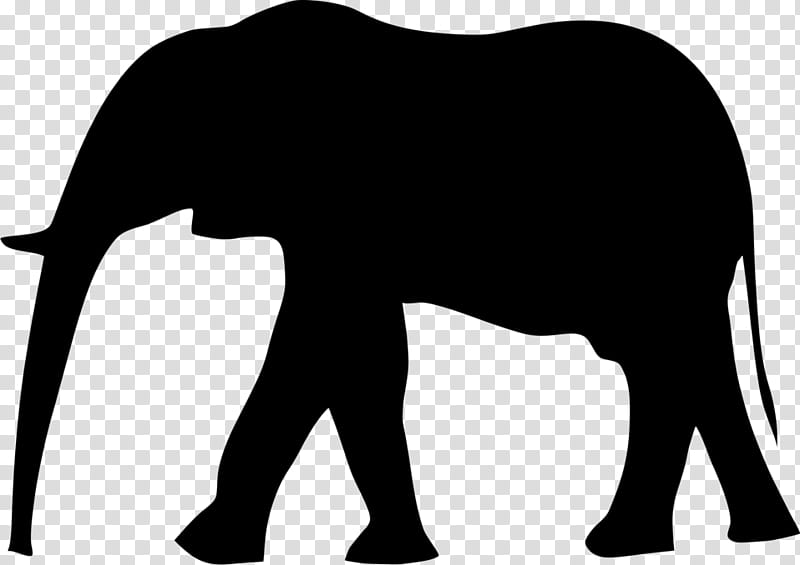 Elephant, Asian Elephant, Silhouette, Animal, Indian Elephant, White, African Elephant, Black transparent background PNG clipart