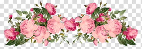 Rose Gold Mega , pink flowers frame transparent background PNG clipart