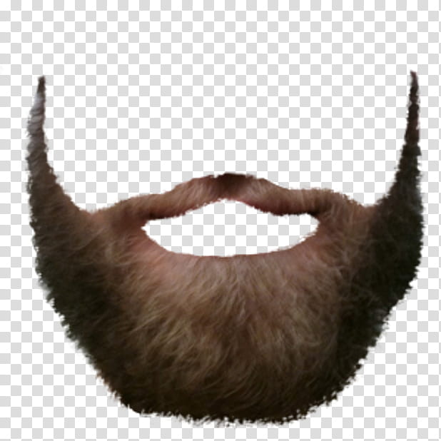 Moustache, Beard, Facial Hair, Face, BlackBeard, Hairstyle, Fur, Brown transparent background PNG clipart