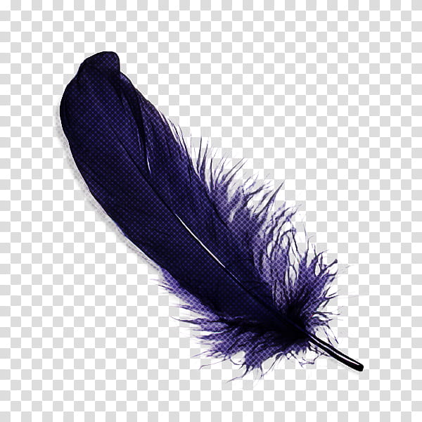 Feather, Quill, Purple, Violet, Wing, Pen, Fur, Costume Accessory ...