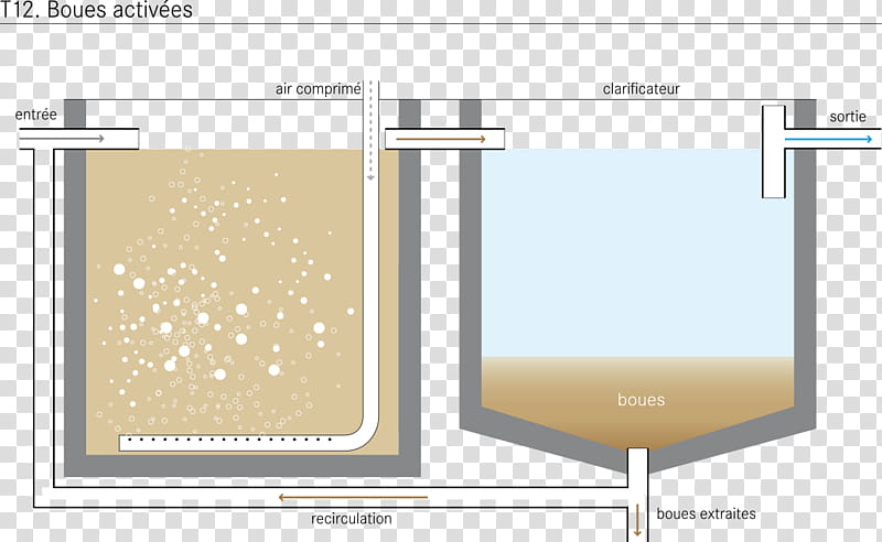Water, Activated Sludge, Wastewater, Water Treatment, Water Aeration, Sewage Treatment, Sewage Sludge, Wastewater Treatment transparent background PNG clipart