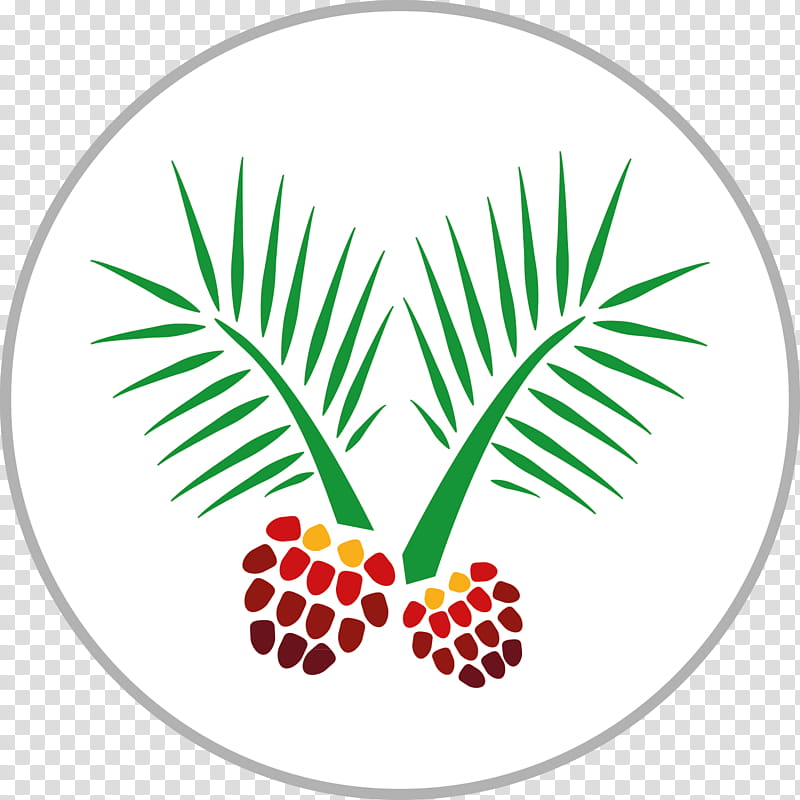 Palm Oil Tree, African Oil Palm, Fruit, Palm Trees, Monocotyledon, Food, Seed, Branching transparent background PNG clipart