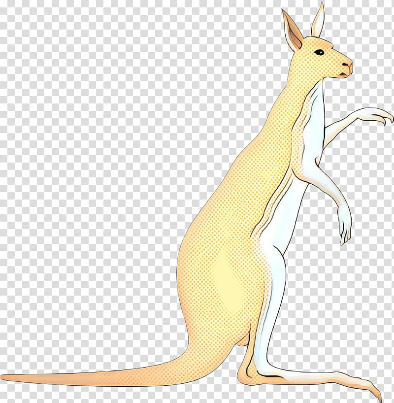 Animal, Kangaroo, Macropods, Hare, Cartoon, Tail, Pet, Macropodidae transparent background PNG clipart