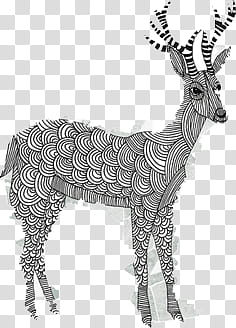 , black and white deer illustration transparent background PNG clipart