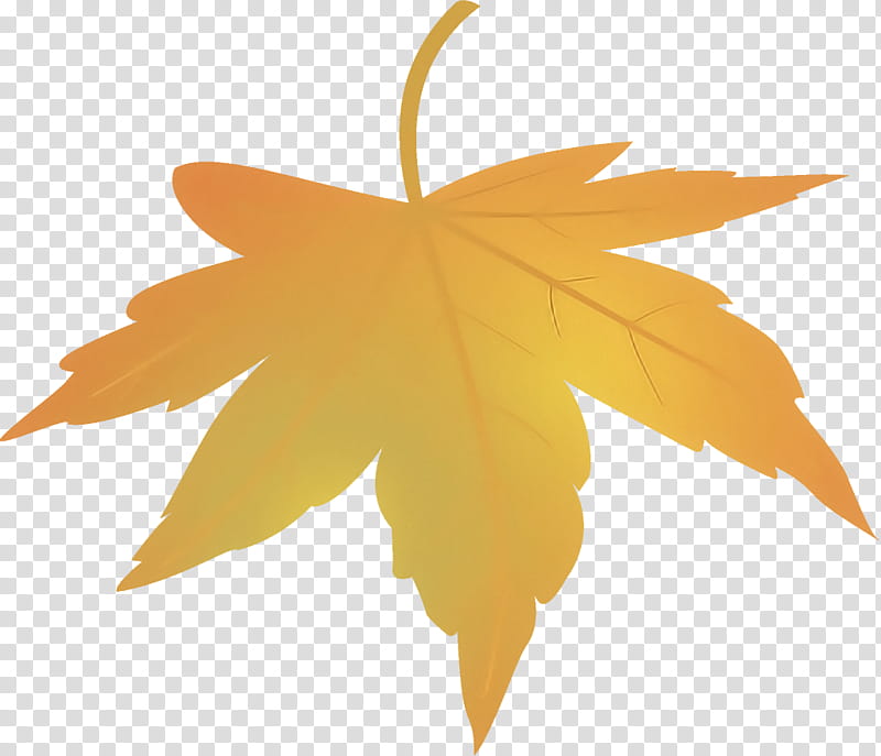 maple leaf fallen leaf dead leaf, Autumn Leaf, Tree, Yellow, Orange, Woody Plant, Plane, Sweet Gum transparent background PNG clipart