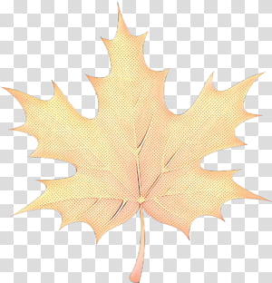 pop art retro vintage, Autumn, Maple Leaf, Autumn Leaf Color, Drawing, Coloring Book, Watercolor Painting,  Blog transparent background PNG clipart thumbnail