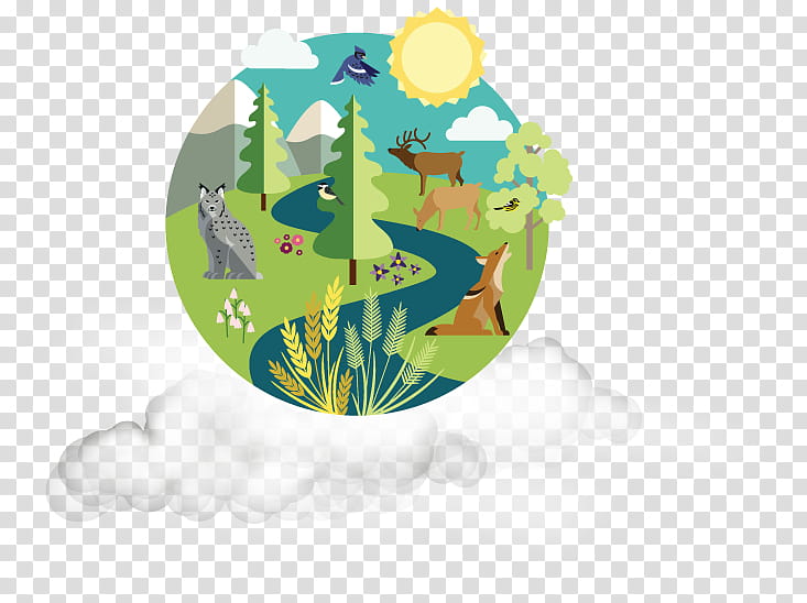 Green Grass, Biodiversity, Ecosystem, Convention On Biological Diversity, Biology, Ecology, Canadian Biodiversity Strategy, Land Use transparent background PNG clipart