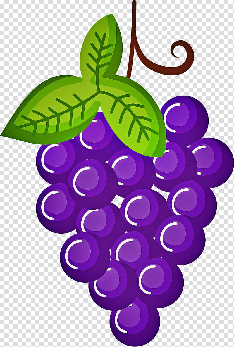How To Draw Grapes In Less Than 10 Easy Steps - Bujo Babe