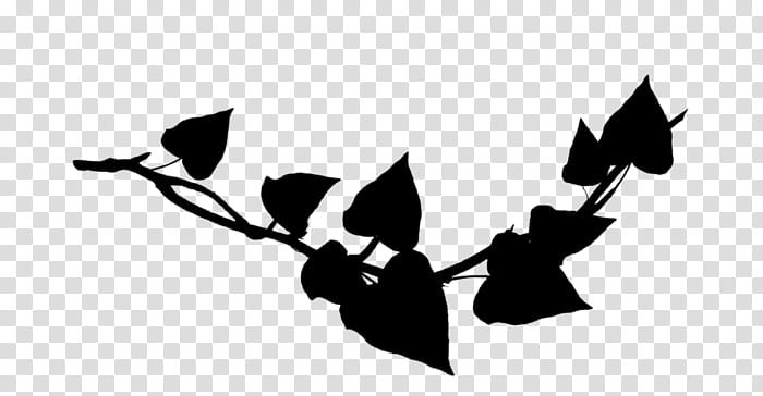 Black And White Flower, Black White M, Plant Stem, Leaf, Vine, Band, Blog, Doubleclick transparent background PNG clipart