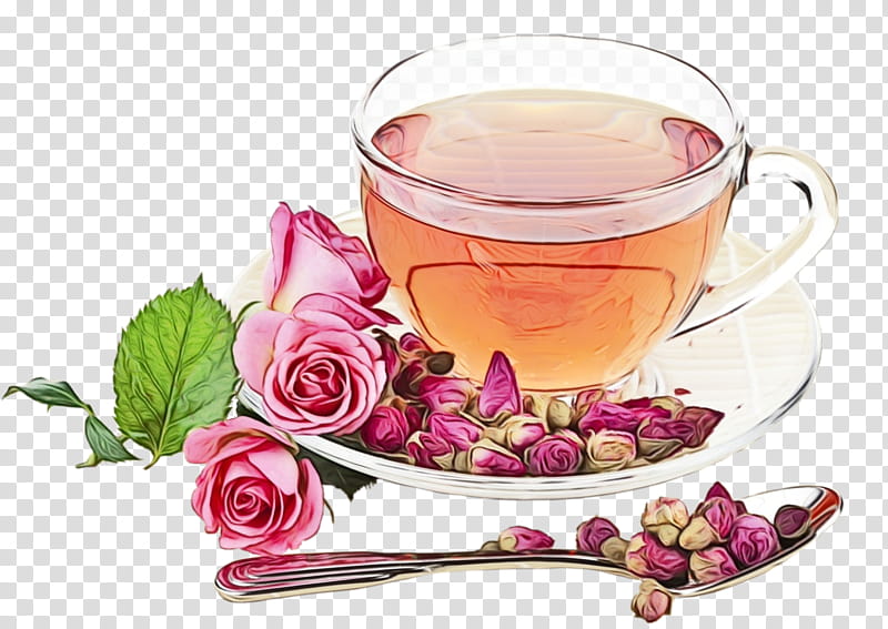 drink plant flower chinese herb tea teacup, Watercolor, Paint, Wet Ink, Vietnamese Lotus Tea, Herbal, Herbaceous Plant, Petal transparent background PNG clipart