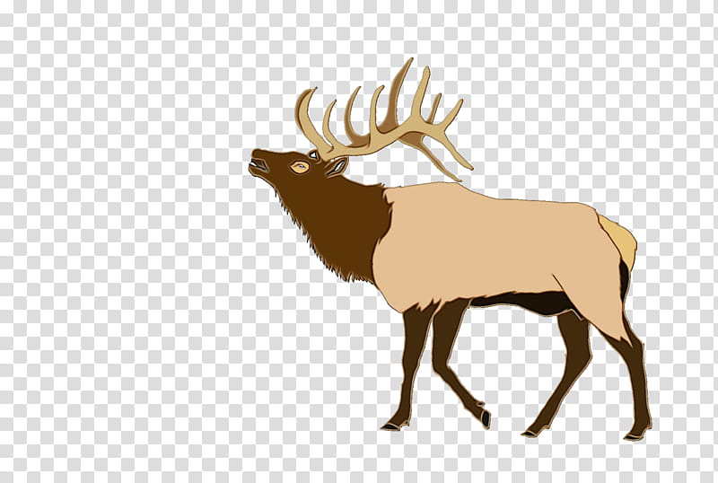 Reindeer, Watercolor, Paint, Wet Ink, Elk, Wildlife, Moose, Sticker transparent background PNG clipart