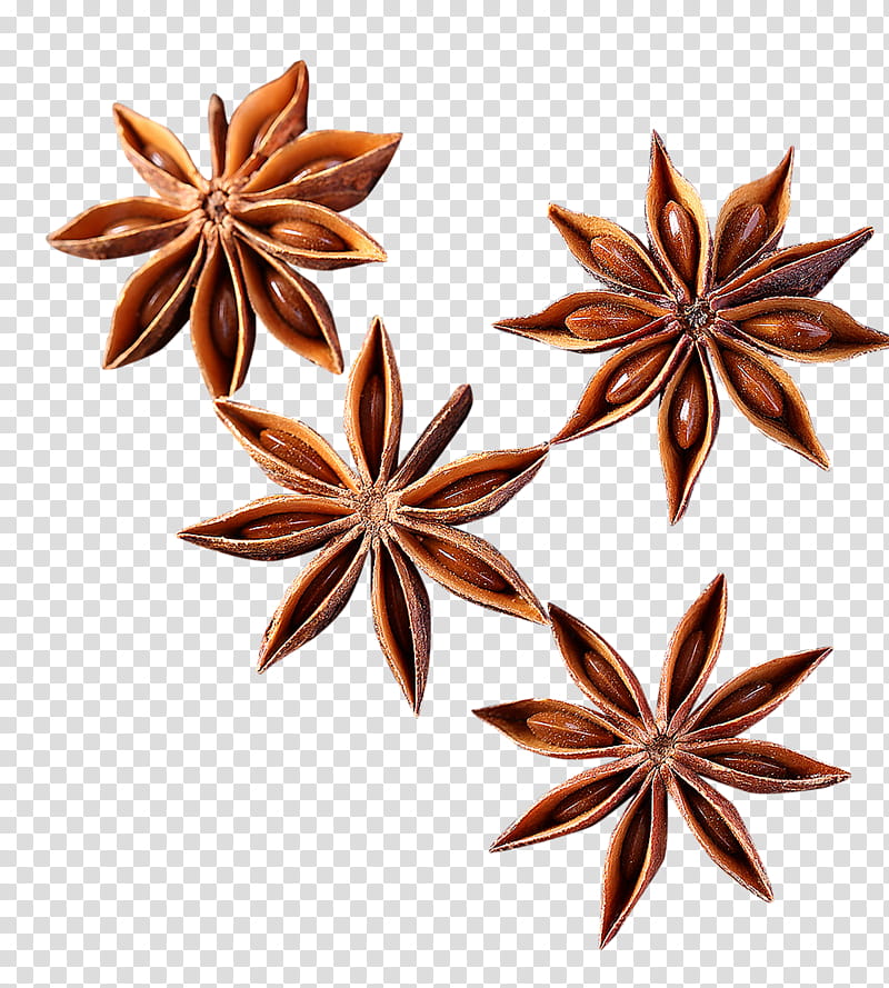 Star Drawing, Fivepointed Star, Symbol, Spice, Ingredient transparent background PNG clipart