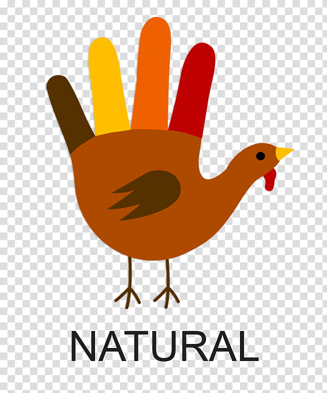 Thanksgiving Day Pumpkin, Turkey Meat, Pumpkin Pie, Tshirt, Hand, Beak, Bird, Chicken transparent background PNG clipart
