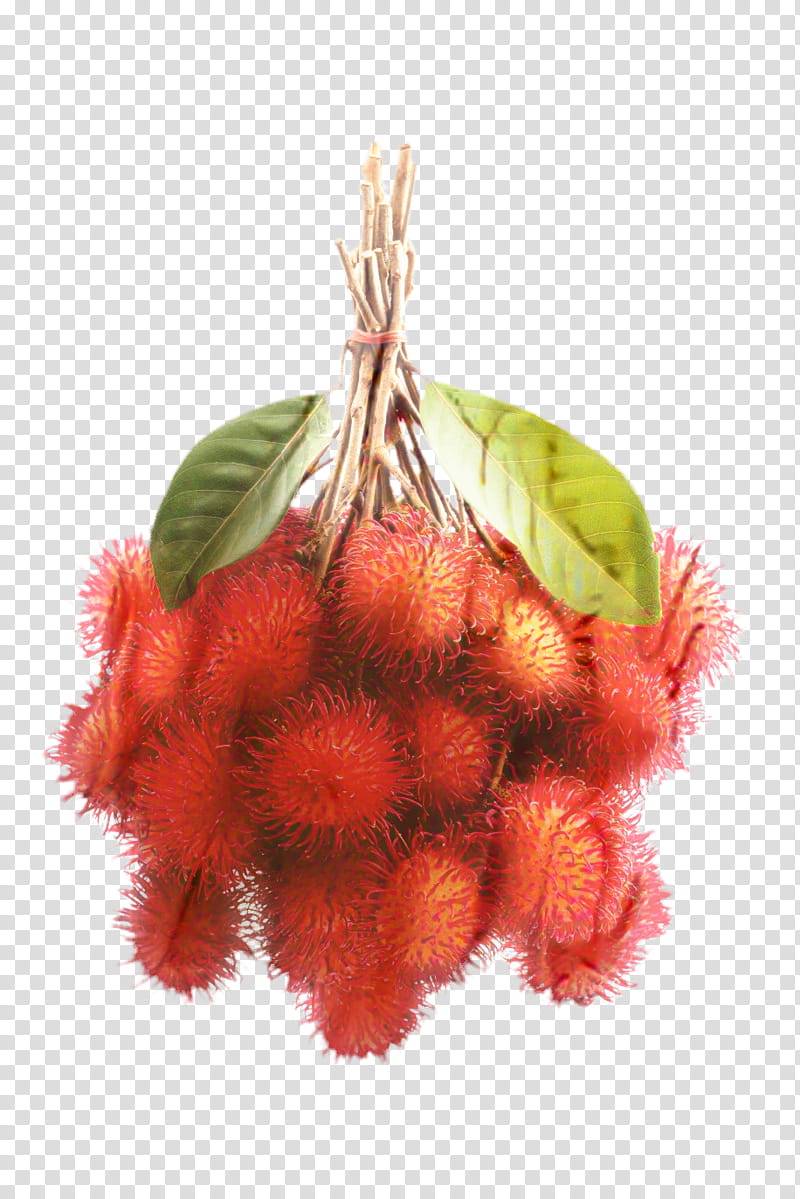 Family Tree, Rambutan, Red, Plant, Fruit, Soapberry Family, Flower, Food transparent background PNG clipart