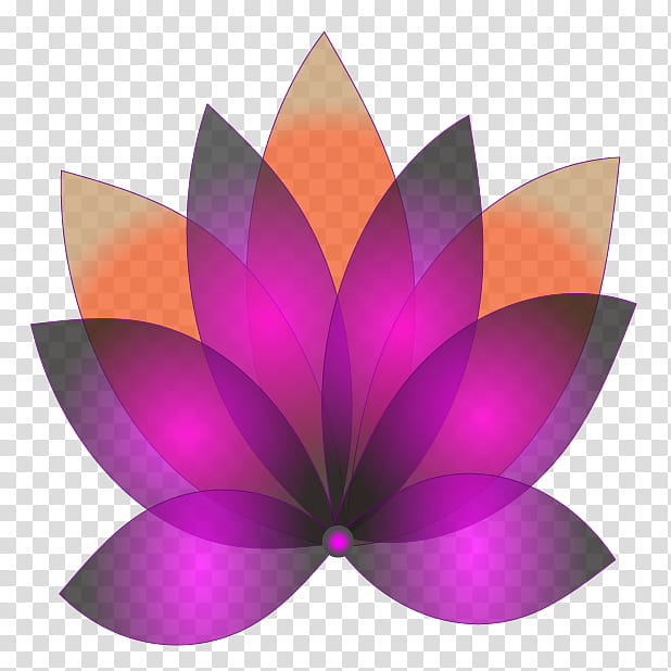 Lily Flower, Desktop , Symmetry, Purple, Computer, Petal, Lotus Family, Violet transparent background PNG clipart