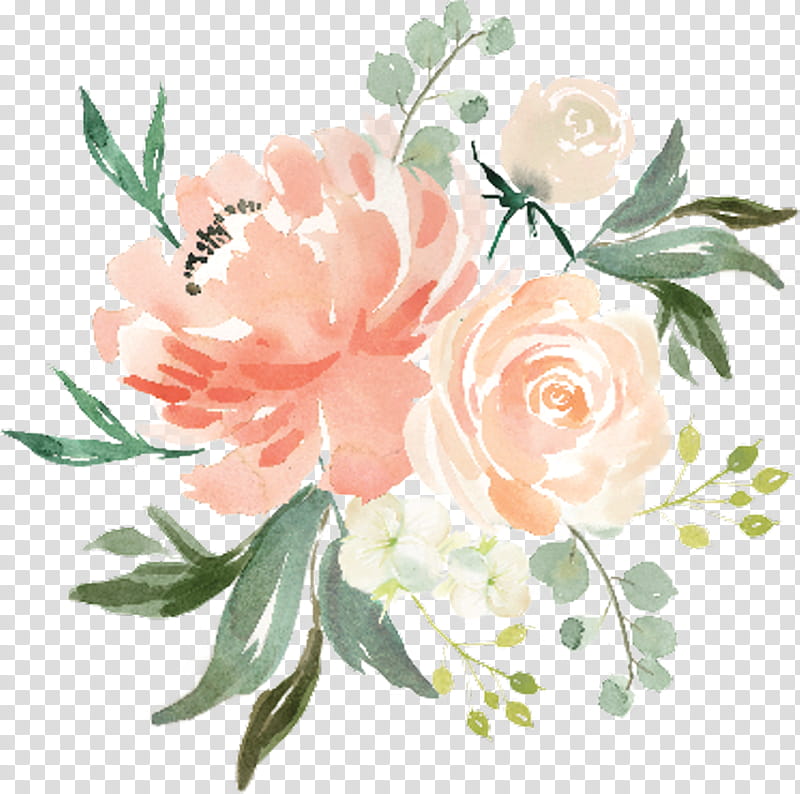 Bouquet Of Flowers Drawing, Watercolor Flowers, Watercolour Flowers, Watercolor Painting, Floral Design, Logo, Texture, Plant transparent background PNG clipart