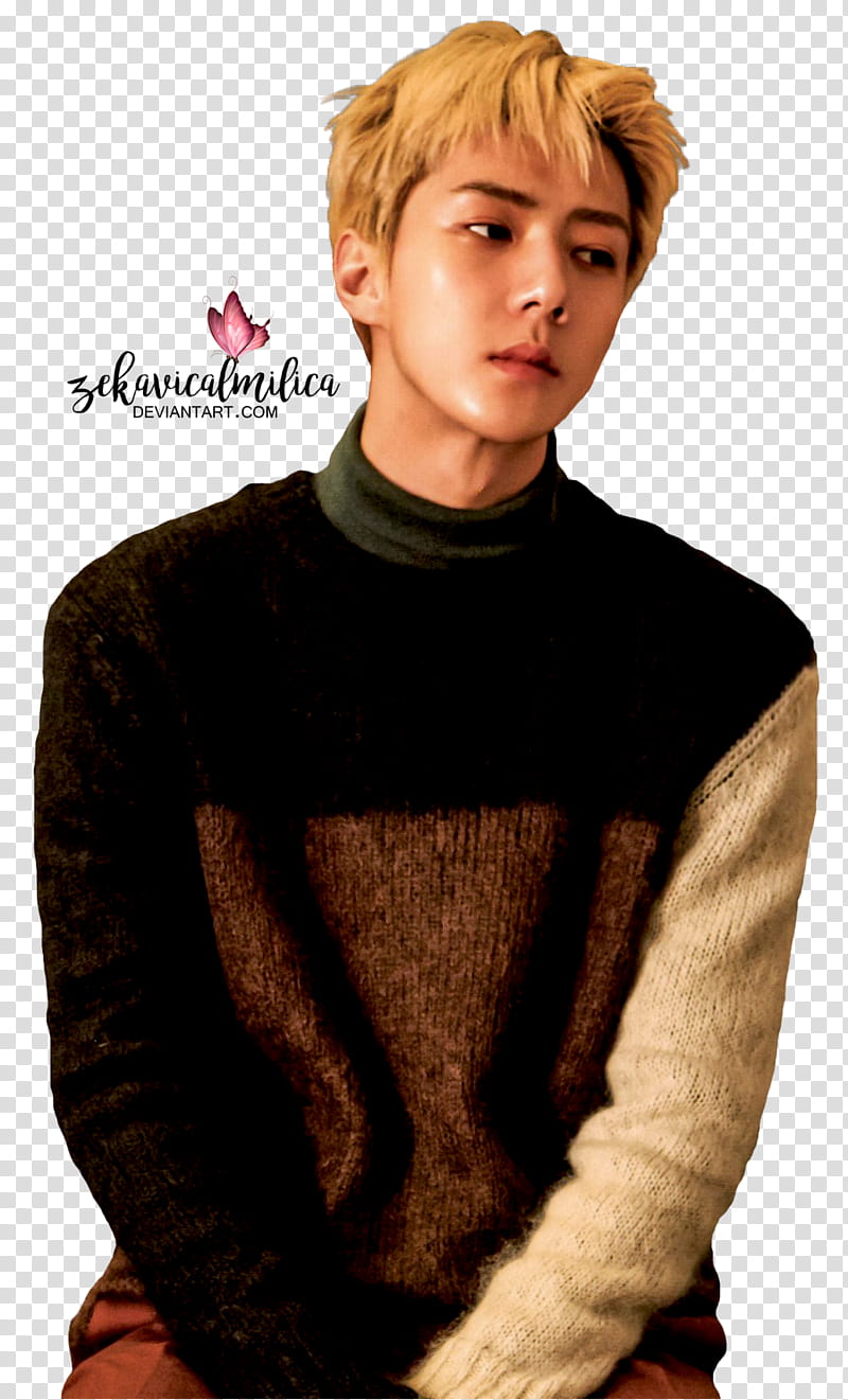 EXO Sehun For Life, male K-pop member transparent background PNG clipart