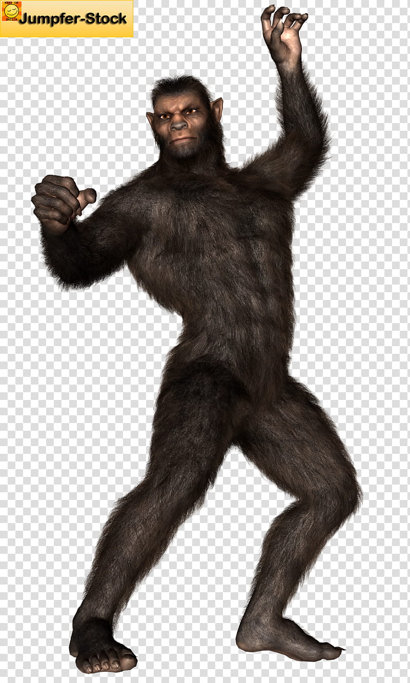 Beastman , brown and black monkey transparent background PNG clipart