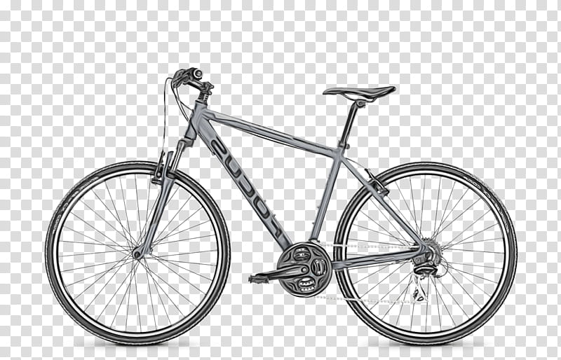 Cartoon Nature, Bicycle, Hybrid Bicycle, Mountain Bike, Cannondale Quick, Racing Bicycle, Cycling, Bicycle Frames transparent background PNG clipart