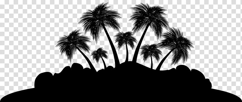 Palm tree, Arecales, Blackandwhite, Silhouette, Monochrome , Sky, Plant, Woody Plant transparent background PNG clipart