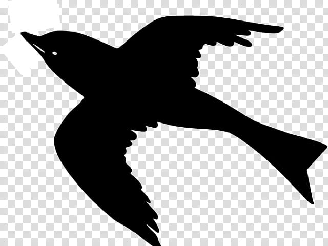Common blackbird Flight Crows Silhouette, Flock, Beak, Wing, Hummingbird, European Swallow, Seabird, Perching Bird transparent background PNG clipart