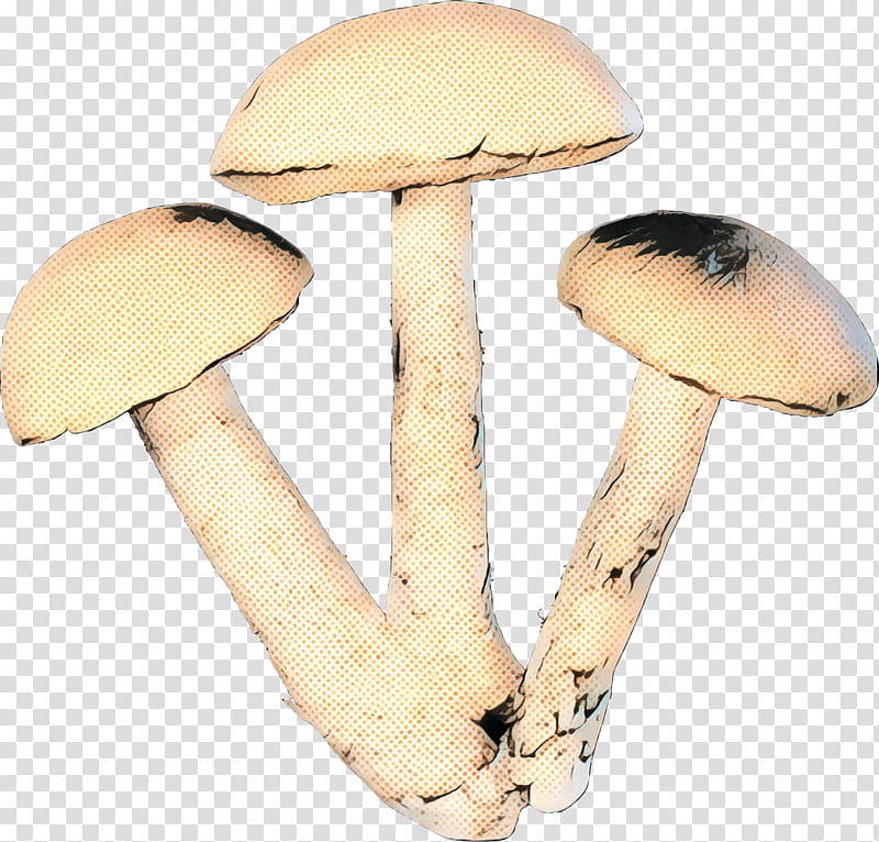 Mushroom, Edible Mushroom, Agaricaceae, Agaricus, Agaricomycetes, Champignon Mushroom, Pleurotus Eryngii, Bolete transparent background PNG clipart