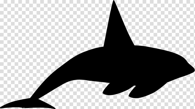 Shark Fin, Dolphin, Silhouette, Line, Beak, Fish, Bottlenose Dolphin, Killer Whale transparent background PNG clipart