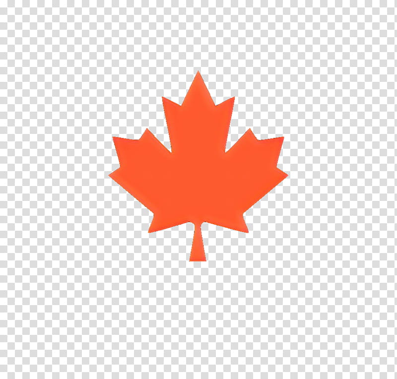 Canada Maple Leaf, Canada Day, Flag Of Canada, National Symbols Of Canada, National Flag, Flag Of Costa Rica, Tree, Woody Plant transparent background PNG clipart