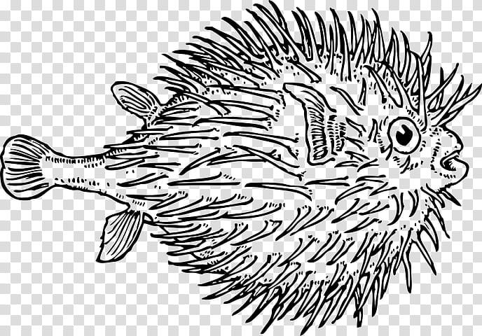Painting, Pufferfish, Fugu, Blunthead Puffer, Drawing, Whitespotted Puffer, Coloring Book, Longspine Porcupinefish transparent background PNG clipart