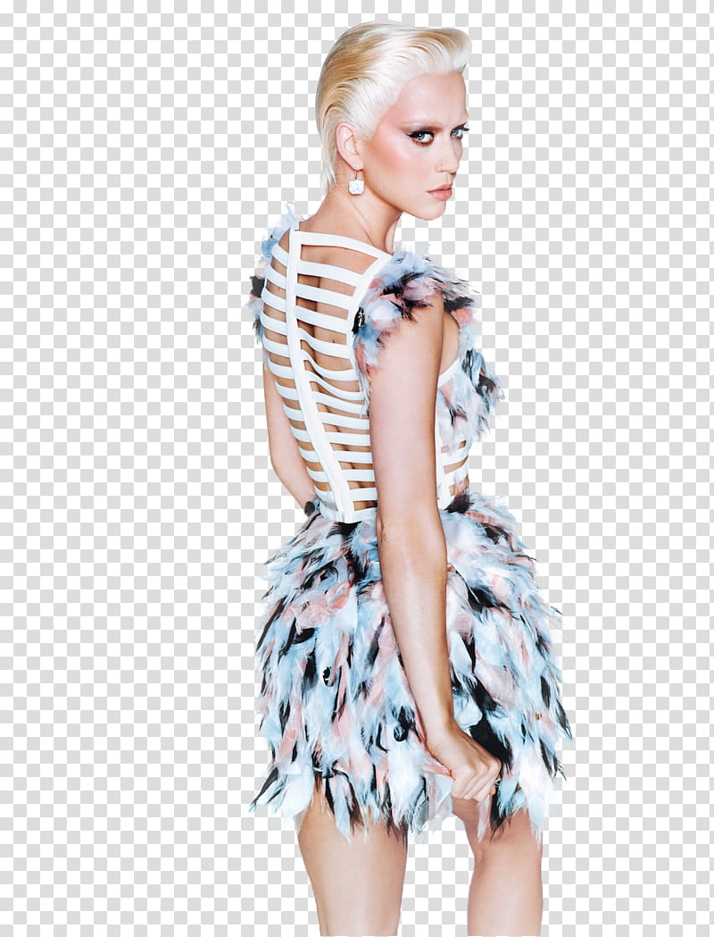 Katy Perry    transparent background PNG clipart
