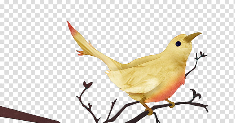 Cartoon Bird, 2018, Mojvideo, Youtube, Rendering, German Language, Gita, Wildlife transparent background PNG clipart