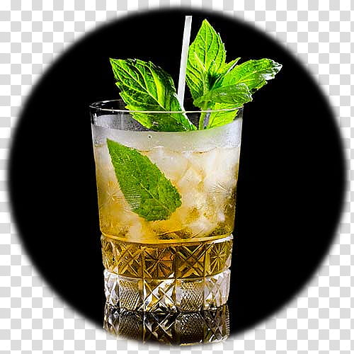 Cocktail, Mint Julep, Mojito, Cocktail Garnish, Spritzer, Rebujito, Drink, Recipe transparent background PNG clipart