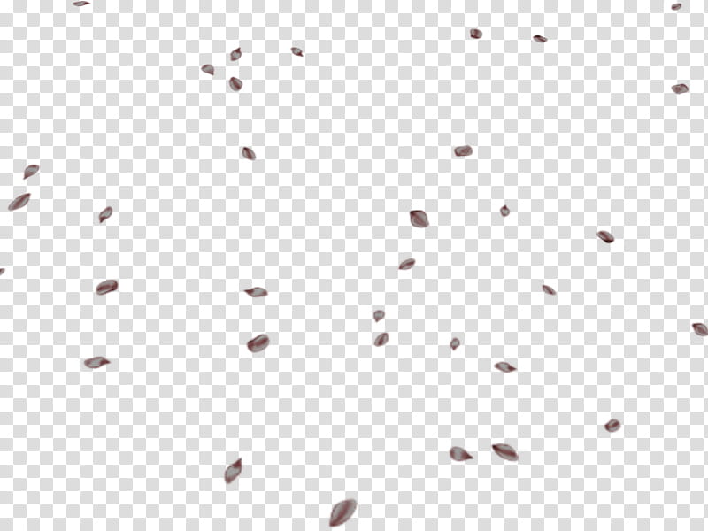 Cherry Blossom Petals, brown leaves transparent background PNG clipart