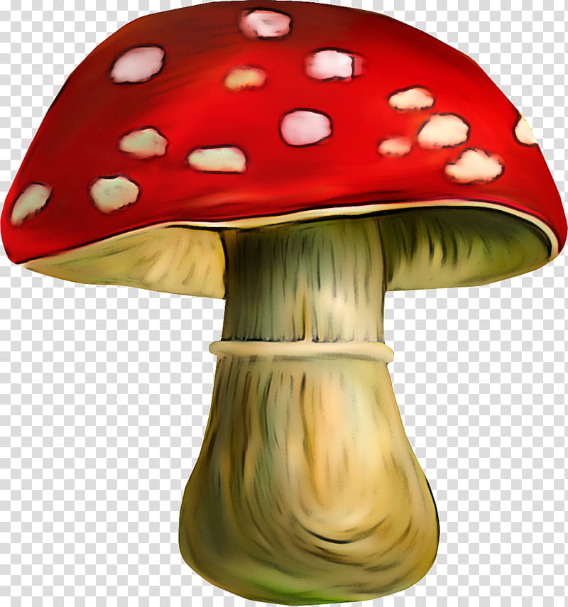 mushroom agaric fungus agaricaceae edible mushroom transparent background PNG clipart