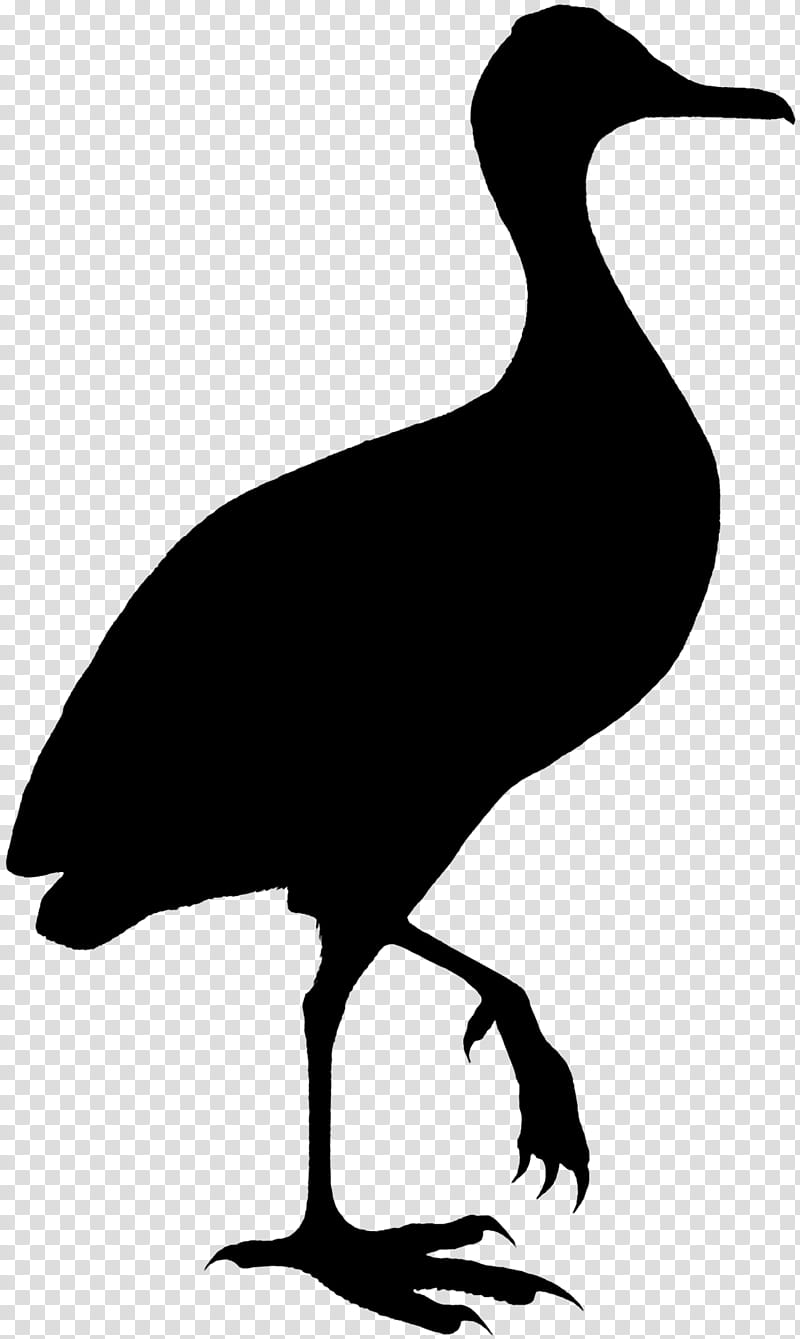 Crane Bird, Duck, Goose, Silhouette, Beak, Feather, Fowl, Seabird transparent background PNG clipart