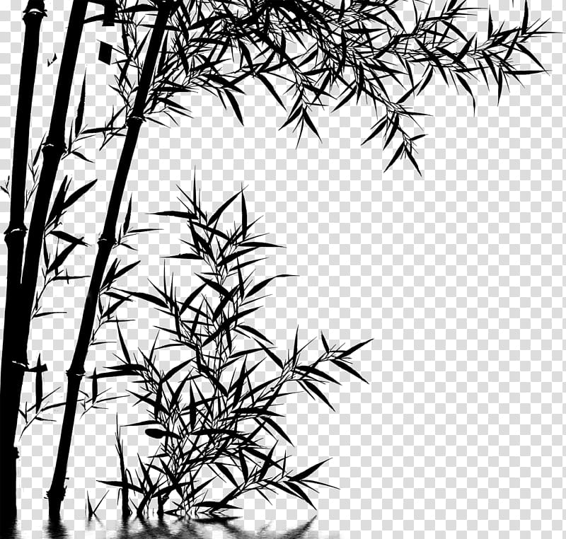 Bamboo Tree, Curtain, Bed, Willow, Bedroom, Kitchen, Junzi, Entryway transparent background PNG clipart